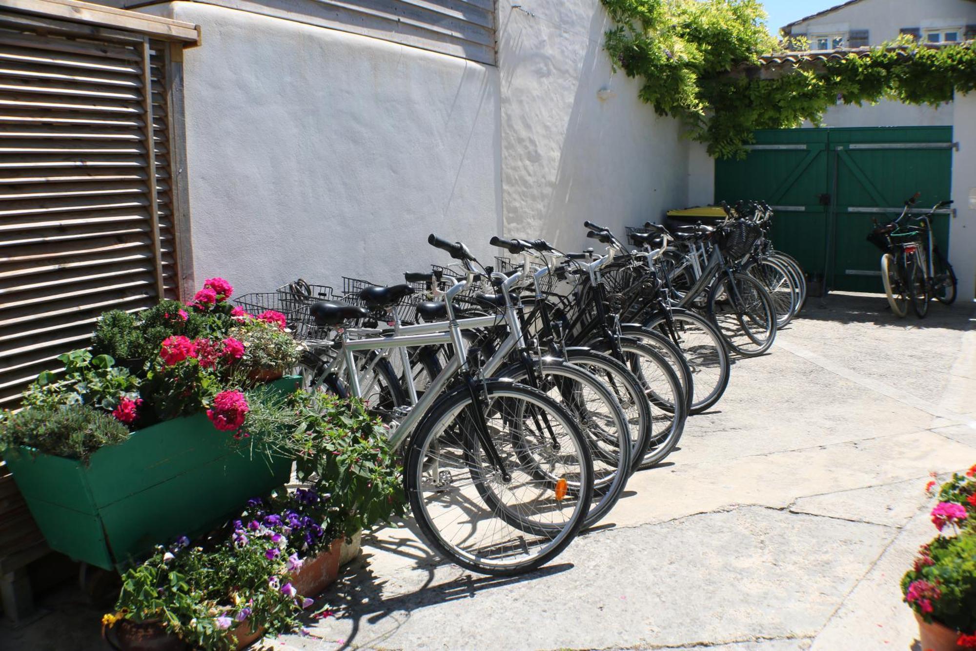 Beau T3 *** Pour 2 A 4 Pers Avec Patio Privatif Lejlighed La Couarde-sur-Mer Eksteriør billede